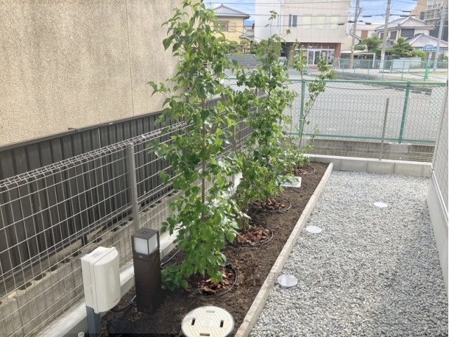 その他　植栽