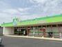 ドラックストア　ジップドラッグ白子店（ドラッグストア）まで838m