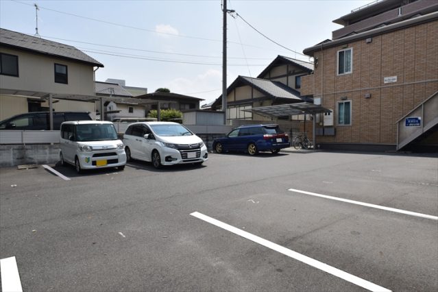 駐車場　カンファ―ツリー
