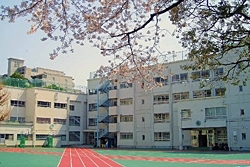 小学校　新宿区立戸塚第一小学校（小学校）まで507m