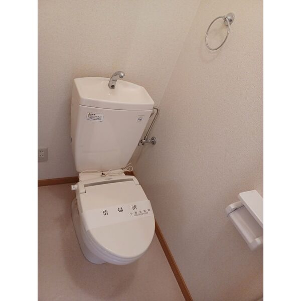 ＪＲ札沼線 篠路駅 徒歩12分 2階建 築22年のトイレ写真