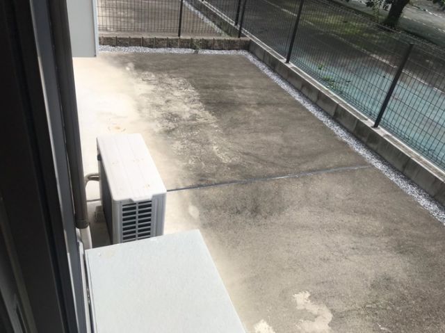 庭