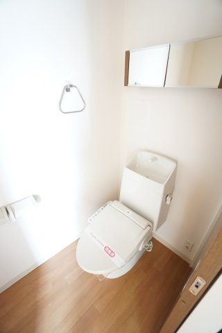 トイレ　※同物件・反転タイプの写真です。