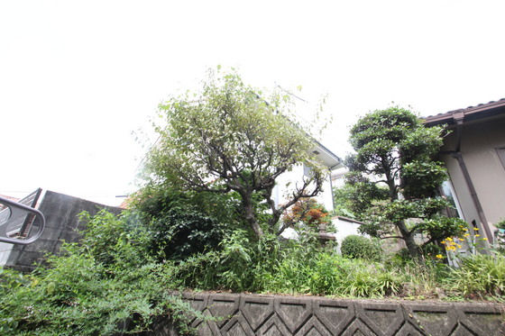 眺望　※別部屋の写真です