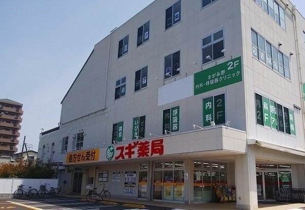 その他　スギ薬局まで250m