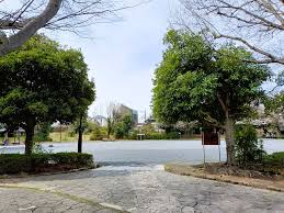 公園　南本宿公園（公園）まで895m