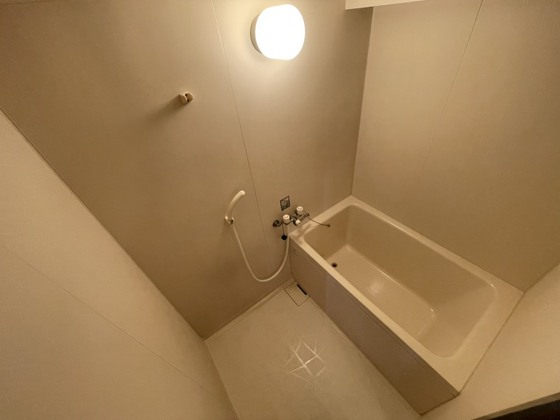 バス・シャワールーム　※別部屋の写真です