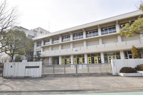 小学校　荻野小学校（小学校）まで715m