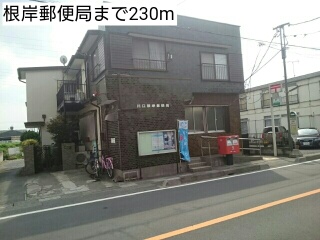 郵便局　根岸郵便局（郵便局）まで230m