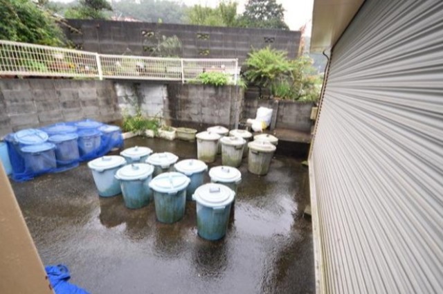 MGヒルズのその他写真