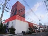 スーパー　ザ・ビッグ（スーパー）まで300m