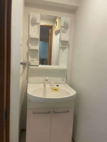 洗面設備　※別号室参考写真