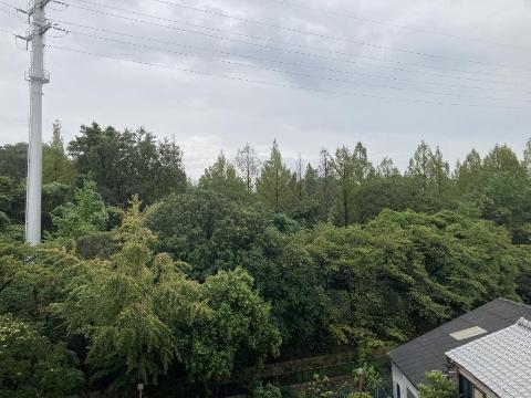 眺望　鶴見緑地