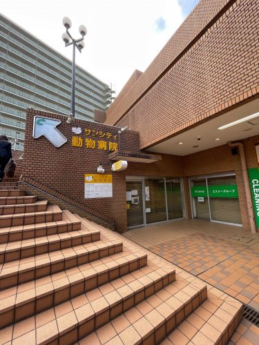 病院　サンシティ動物病院（病院）まで705m