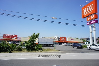 スーパー　ザ・ビッグ岩見沢店　／　ツルハ（スーパー）まで345m