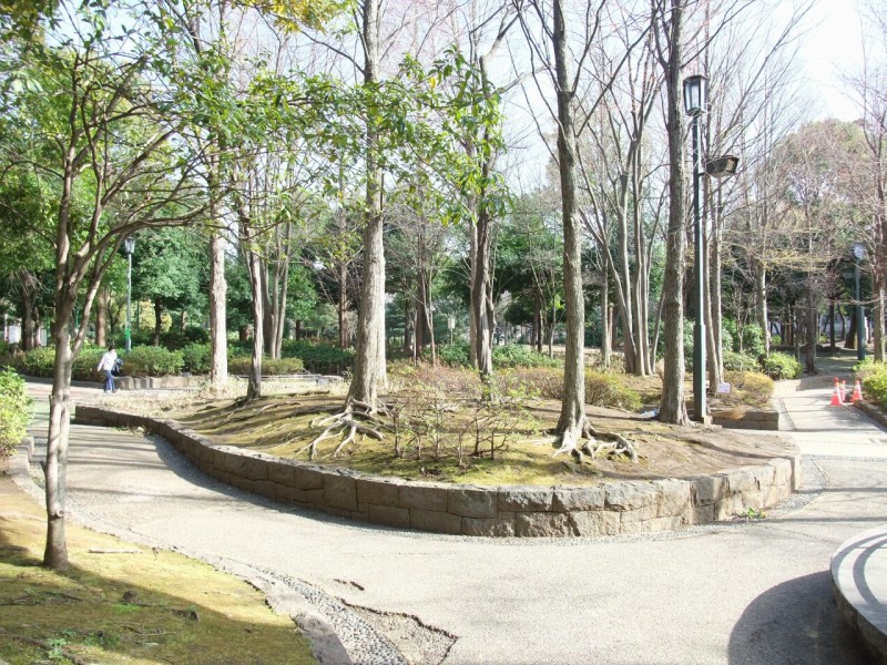 公園　教育の森公園（公園）まで180m