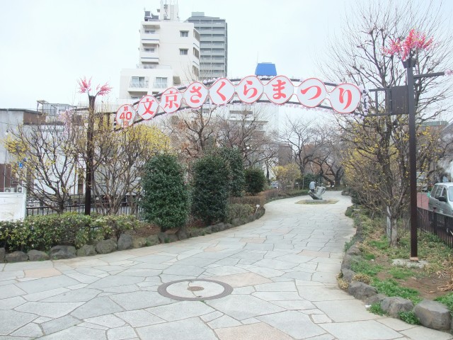 公園　播磨坂桜並木（公園）まで350m