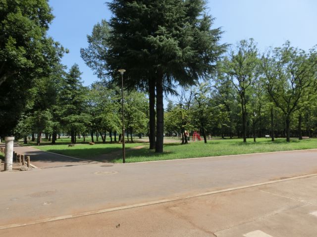 【スカイブルー関口の公園】