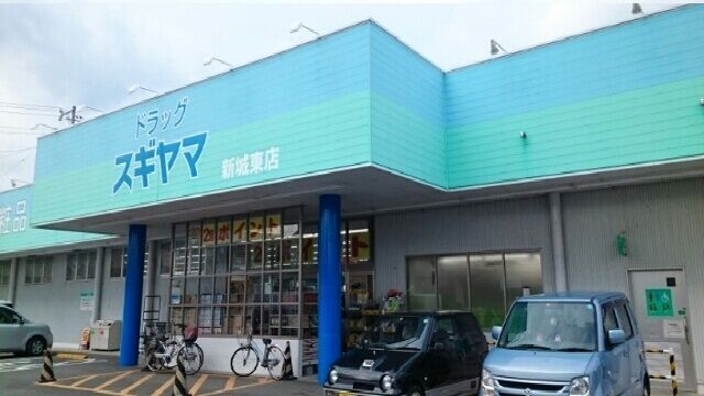 ドラックストア　ドラッグスギヤマ新城東店様（ドラッグストア）まで600m
