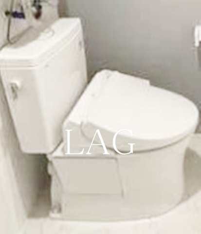 トイレ　トイレになります。（同仕様）