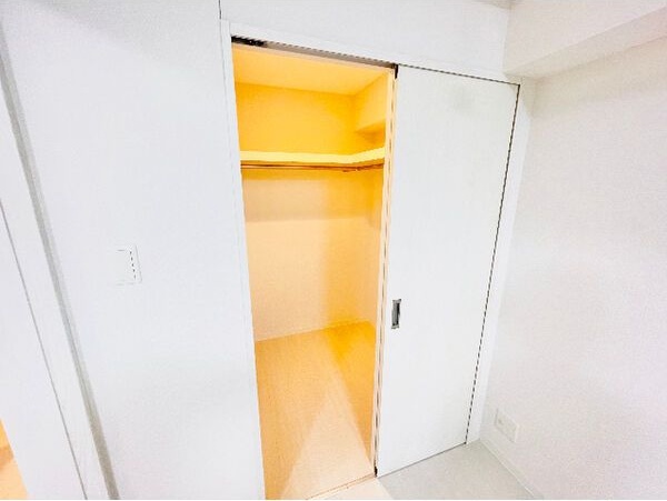 収納　※写真は同じマンションの違う部屋のものになります。