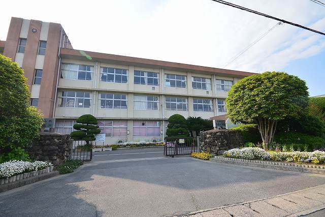 小学校　苅田町立　与原小学校（小学校）まで550m