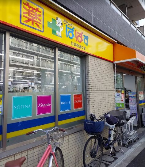 ドラックストア　どらっぐぱぱす紅葉橋通り店（ドラッグストア）まで253m