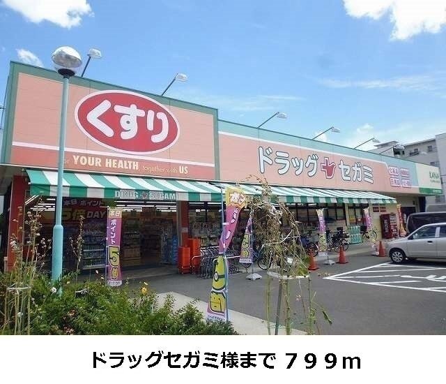 その他　ドラッグストアセガミ様（その他）まで799m