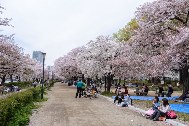 公園　南天満公園（公園）まで671m