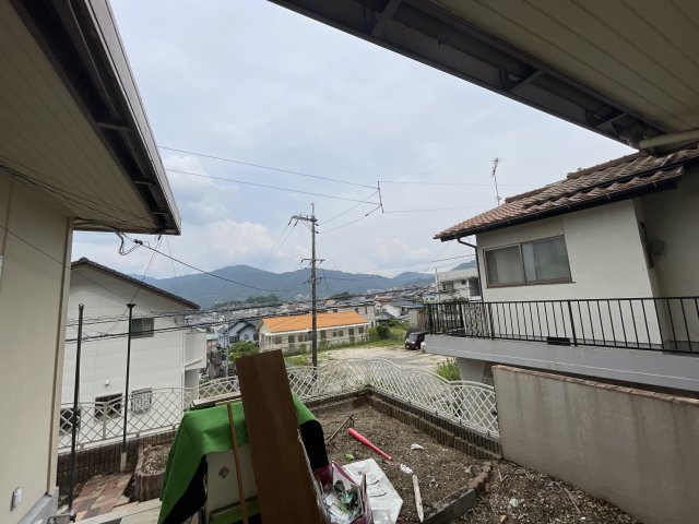 庭