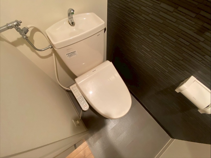 トイレ　清潔感があり安心して使用できるトイレになっておりました。