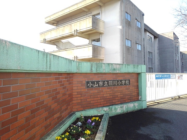 小学校　小山市立羽川小学校（小学校）まで900m