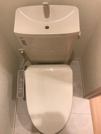 阪急宝塚線 豊中駅 徒歩15分 2階建 築9年のトイレ写真