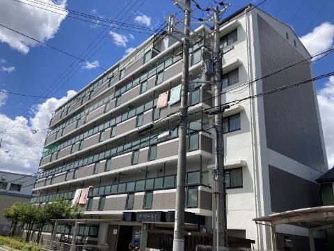 グレイシーK・Y