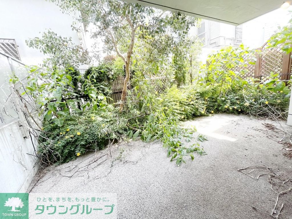 庭