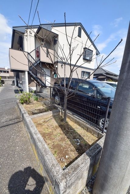 庭