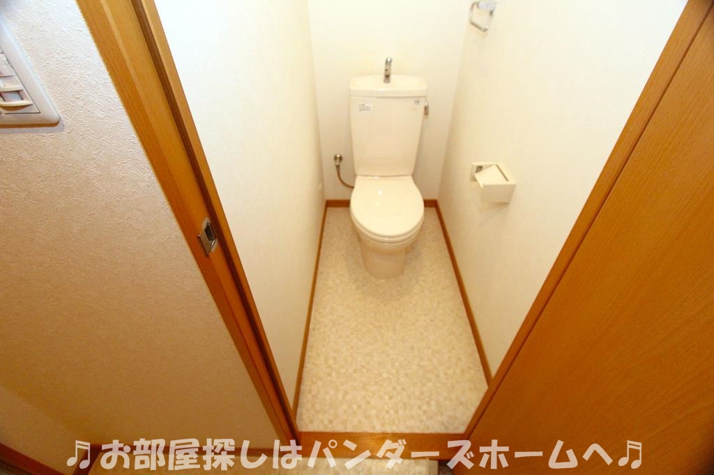 マンション桃のトイレ写真