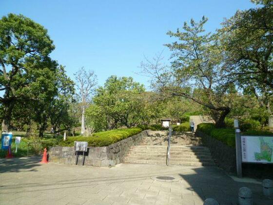 公園　羽根木公園（公園）まで1392m