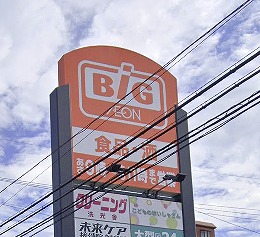 スーパー　ザ・ビッグ久留米すわの店（スーパー）まで568m