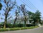 中学校　立川市立第一中学校（中学校）まで687m