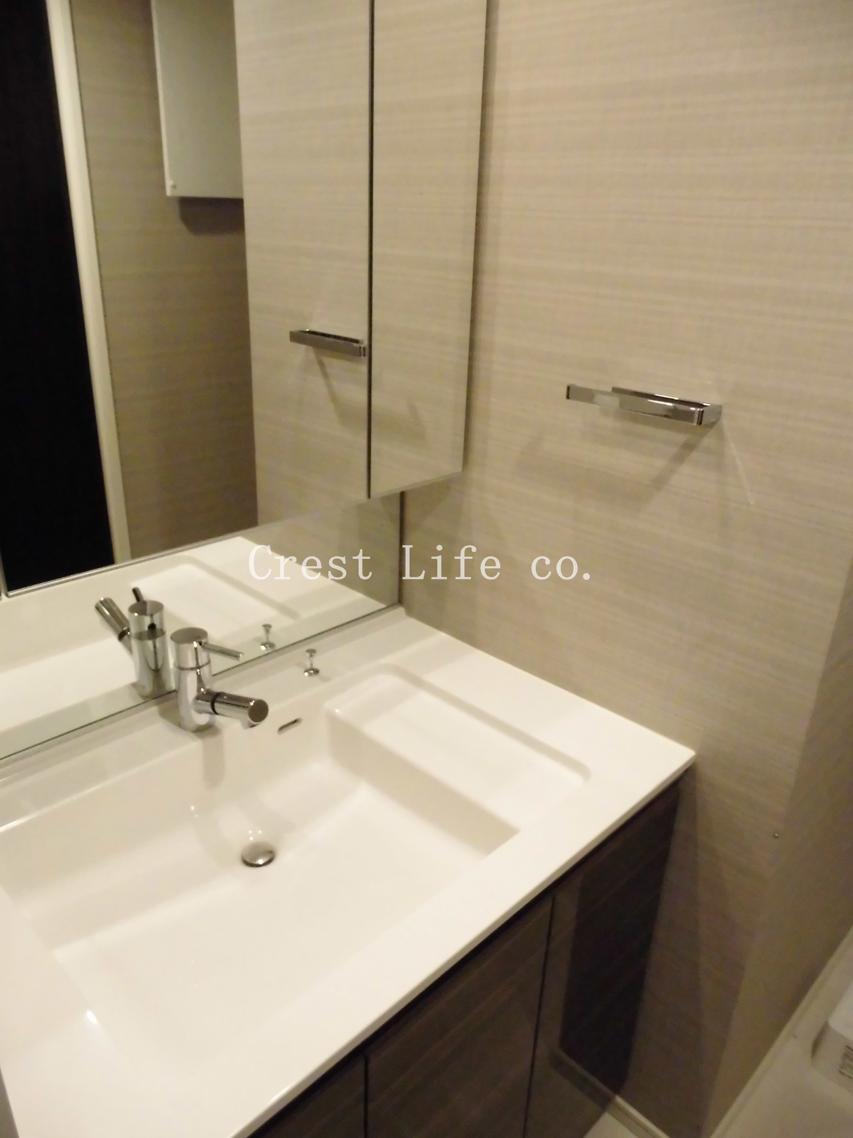 洗面設備　シャワー付き洗面化粧台