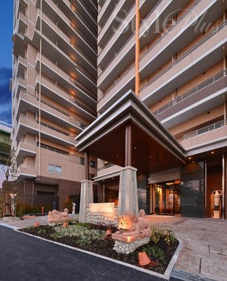 その他　アプローチ