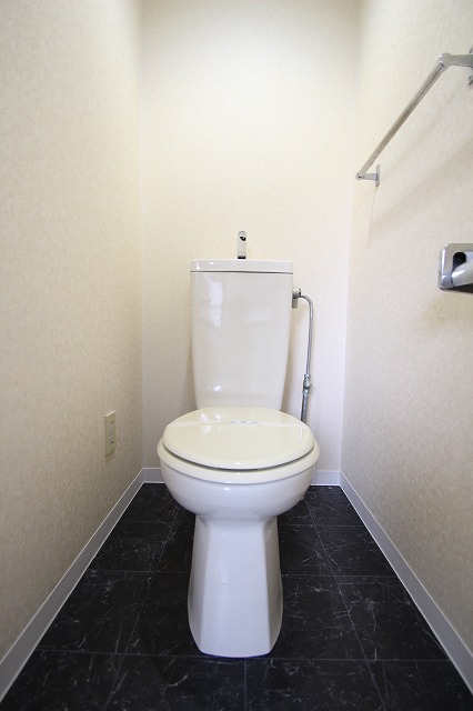 トイレ　同物件、別号室のものです。