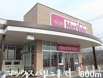 その他　マックスバリュまで800m