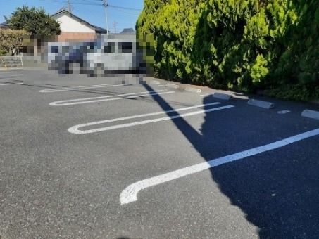 グリーンローズのその他写真