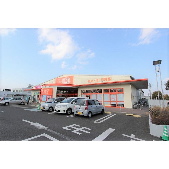 スーパー　ザ・ビッグエクスプレス　将監店（スーパー）まで1000m