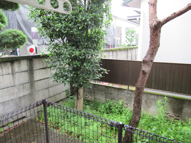 眺望　お部屋前には緑があるので、心癒されますね☆