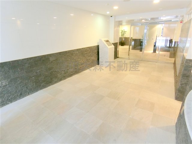 エントランス　防犯カメラTVモニター付オートロック宅配BOXメールBOX管