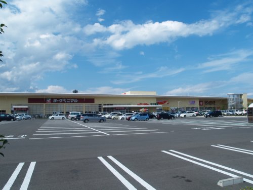 スーパー　ヨークベニマル新田東店（スーパー）まで1244m