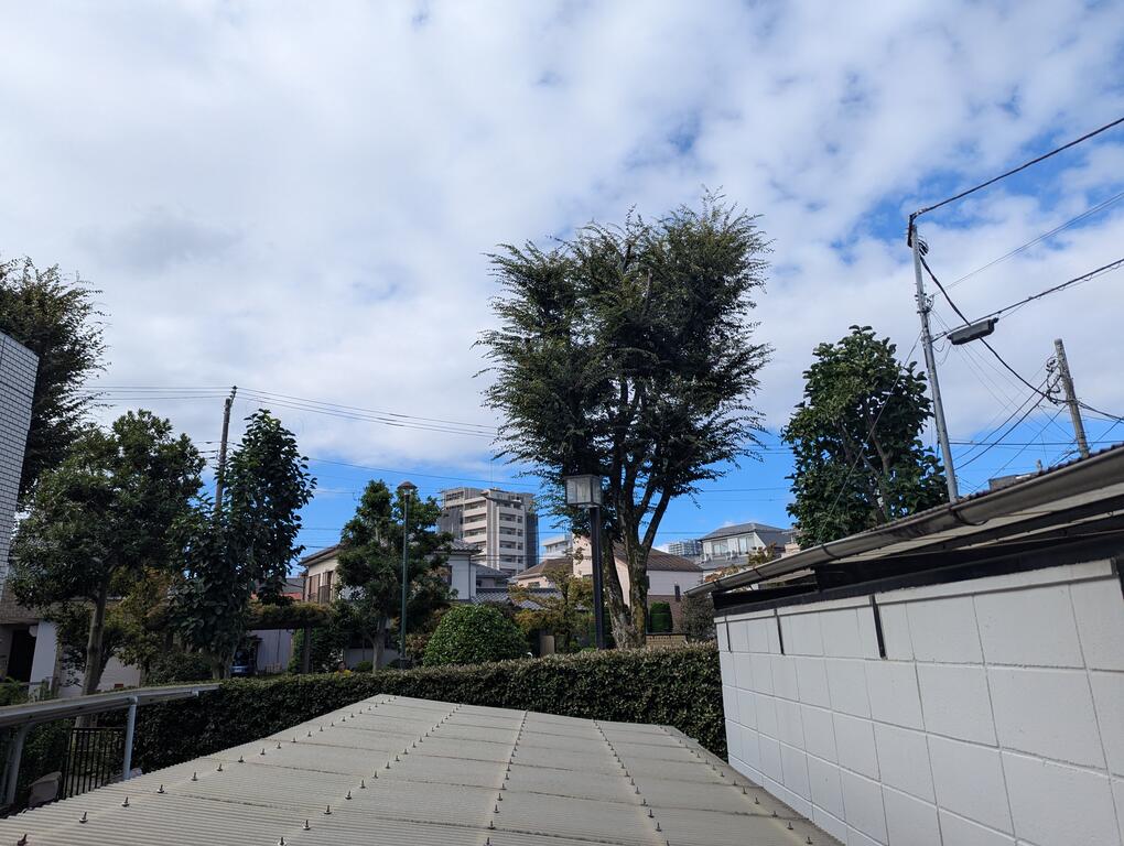 YOUCORPのその他写真